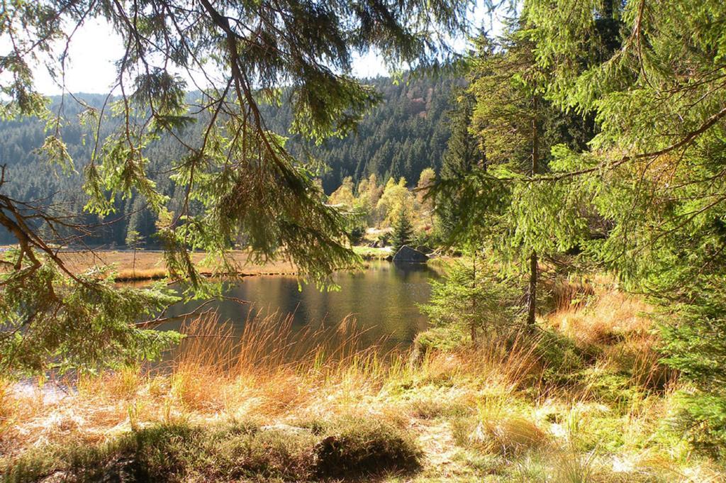 Ferienwohnung Voelkl Böbrach エクステリア 写真